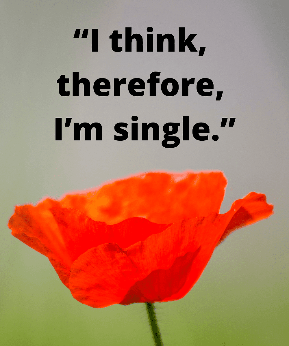 100-inspirational-quotes-about-being-single-and-embracing-single-life