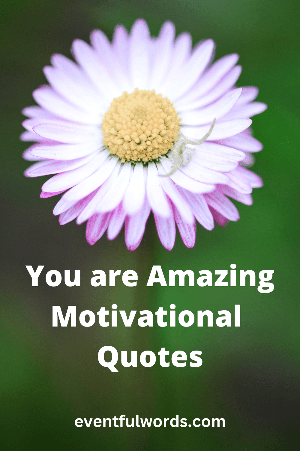 60 You Are Amazing Motivational Quotes to Empower You and Your Loved ...