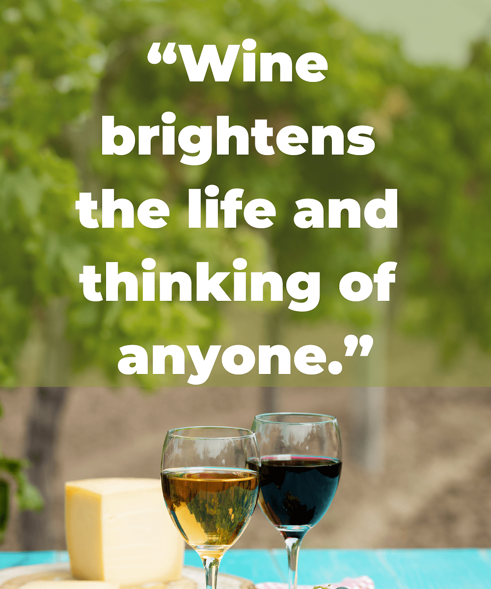 105 Best Inspirational Wine Quotes to Lift Your Spirits